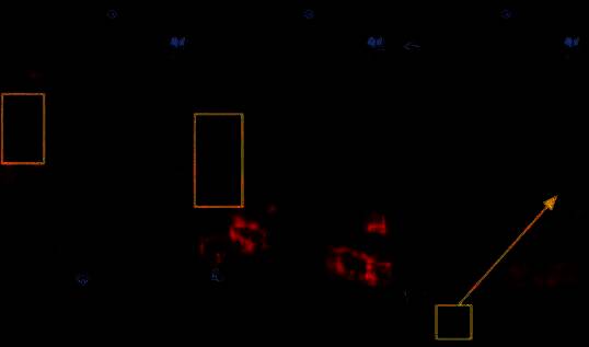 无头雕像排列整齐，手中分别持鼓、铃、铜钱等乐器，氛围诡异