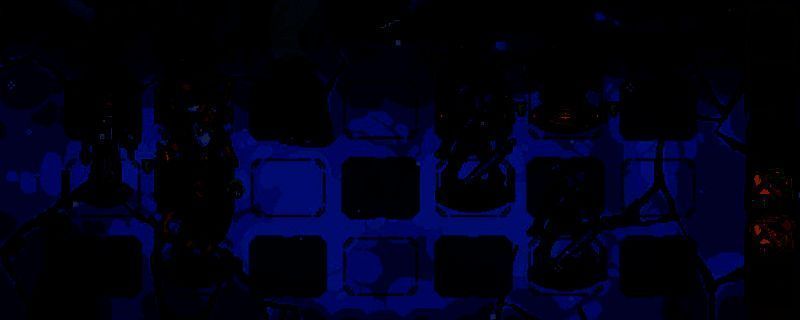 《血盟守卫军 II》游戏封面图，黑暗奇幻风格，主角身披铠甲手持长剑，背景为燃烧的城堡