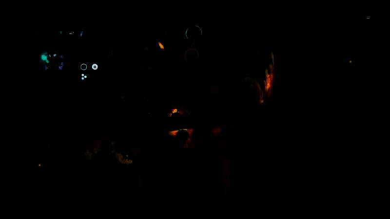 《精灵与橡木之歌》游戏场景图，展现漂浮于巨大橡树枝杈间的奇幻世界，光影交错，精灵生灵在空中穿梭，充满神秘氛围