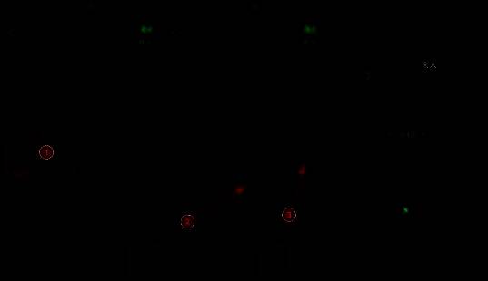 玩家使用朱砂处理面人，准备用于后续机关触发