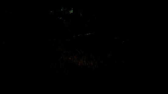 多人模式中四位玩家在雪地中围捕一头雄鹿，战术配合明显，画面呈现团队协作的紧张氛围