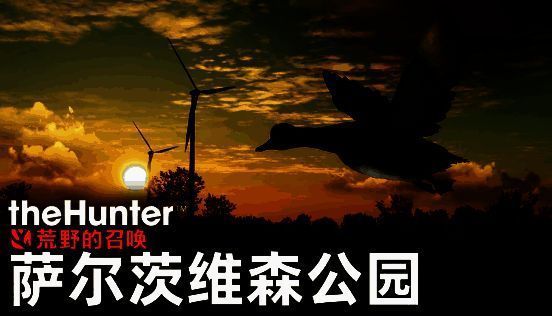 湿地环境中一群水鸟从芦苇中惊飞，玩家持霰弹枪瞄准，画面展现动态狩猎瞬间