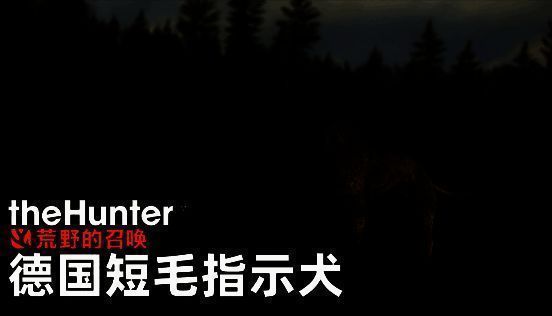德国短毛指示犬在草地上警觉站立，前爪指向远处树林，主人持枪准备跟进，展现狩猎协作场景