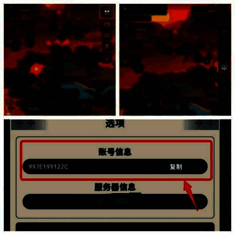 游戏内设置界面截图，清晰标注账号ID所在位置及操作路径