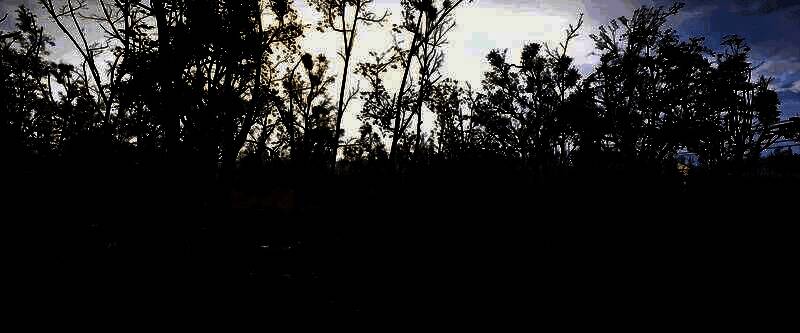 废弃实验室内部，破碎的玻璃与倒下的仪器散落一地，应急灯发出昏黄光线