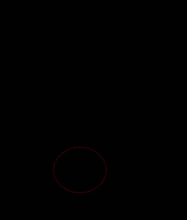 拾取地上的枯树枝，表面刻有古老纹路