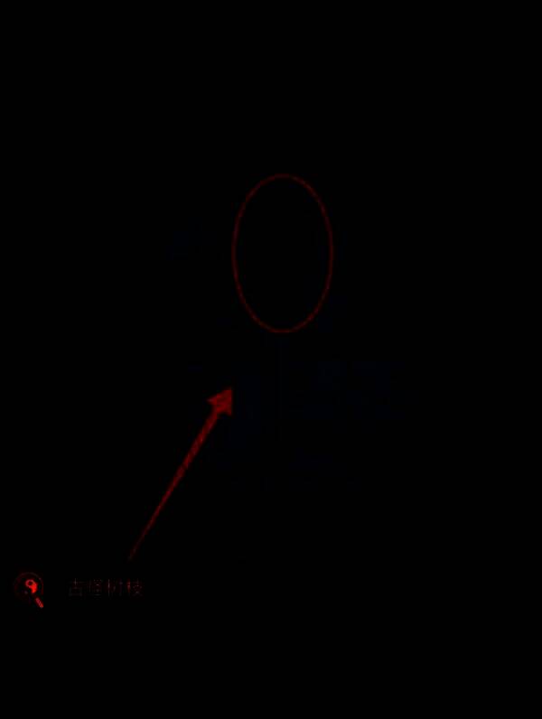 将树枝插入高楼门缝，门缓缓开启，露出内部昏暗空间