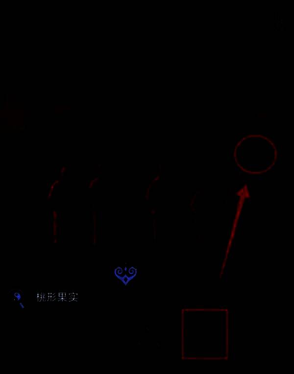 人脸果实被安装在不倒翁上，形成完整人形