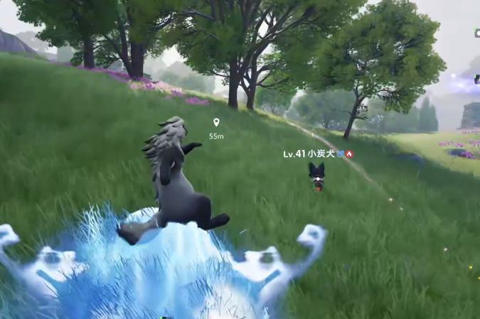 花芽蟹与蟹葱葱在沙滩上活动的场景