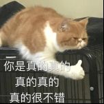 游戏内新手礼包界面展示，包含舰船图标与技术值说明，界面清晰直观