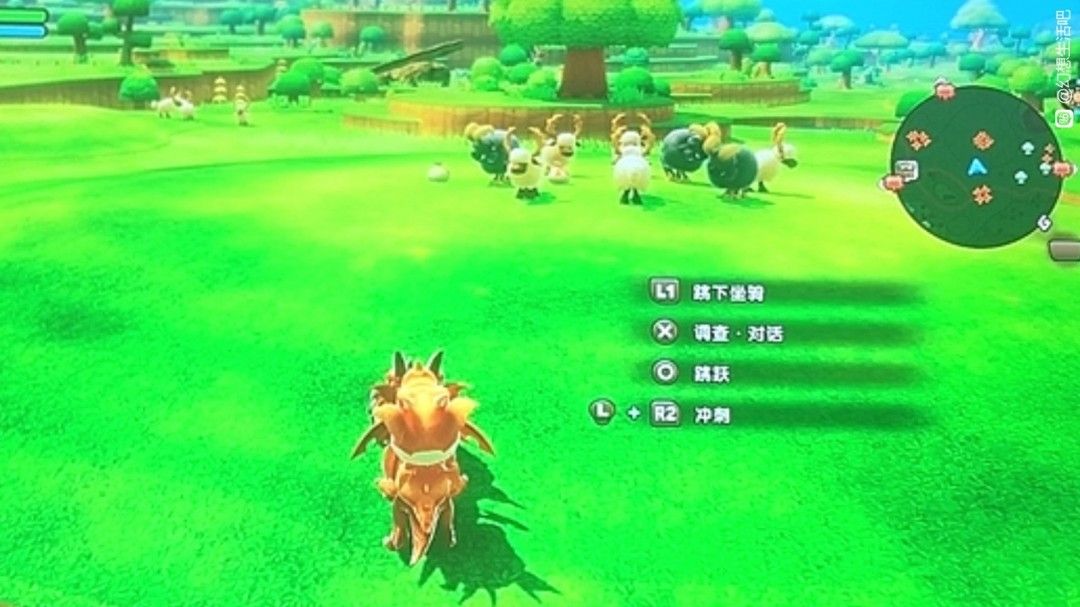 战斗场景中角色释放范围技能，同时击中多只怪物，屏幕上方显示大量经验点数增加