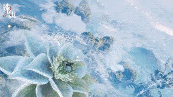 角色在夜晚的河阳城街道行走，灯笼倒映在湿润的地面上，周围建筑光影层次分明，细节清晰