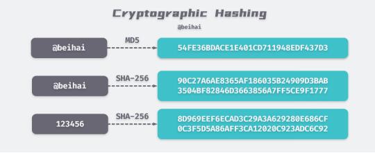 玩家在手机端参与X.Game幸运哈希的实时画面，界面清晰显示投注选项与哈希校验流程
