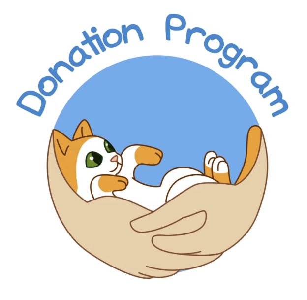 Valhalla Cats工作室成员工作场景，艺术家正在纸上绘制猫咪角色草图，桌边摆放着猫玩具和手绘稿