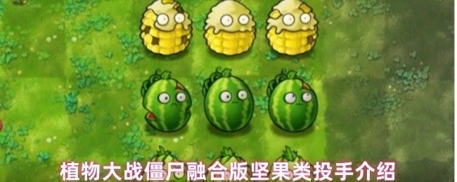 植物大战僵尸融合版中三种坚果投手并列展示，分别为卷心菜坚果、西瓜坚果和玉米坚果，背景为经典草坪战场
