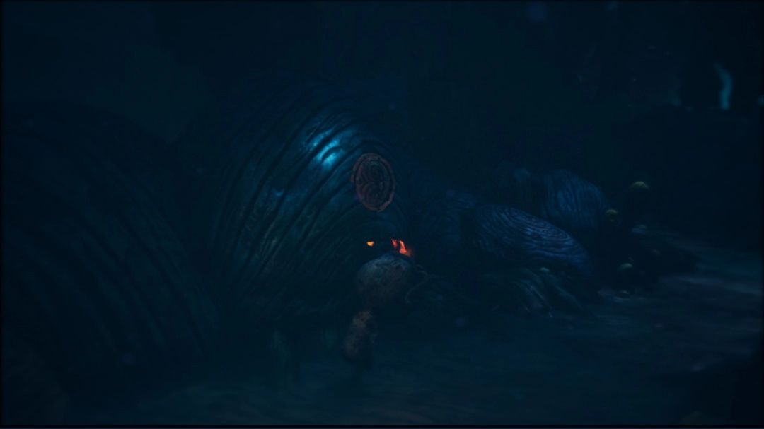 一张标有‘Köket’字样的唱片静静躺在角落，周围布满灰尘与蛛网