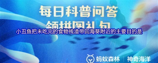 支付宝神奇海洋7月14日答题界面展示小丑鱼与海葵互动场景