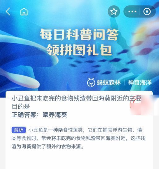 正确答案揭晓画面：小丑鱼将食物残渣留在海葵触手旁，海葵缓缓吸收营养