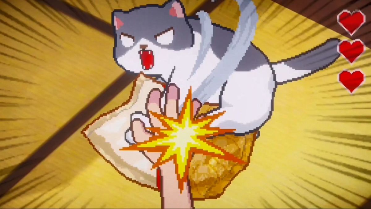 主角翻开一本相册，页面上贴满了猫咪照片，旁边写着手写笔记与心情记录