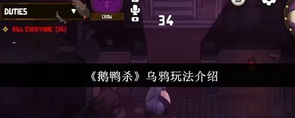 《鹅鸭杀》游戏中乌鸦角色立绘展示，黑色羽毛造型神秘霸气，眼神锐利透露杀意