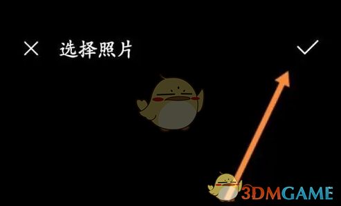 用户选中一张照片并点击确认按钮