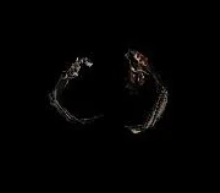 艾露猫‘侦探装’，戴礼帽，手持放大镜