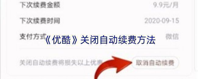 手机屏幕截图展示微信扣费服务管理界面，优酷会员自动续费选项清晰可见