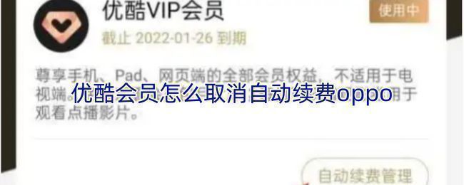 优酷会员界面展示自动续费管理入口，界面清晰标注操作路径