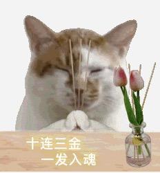 玩家正在进行十连抽卡界面，屏幕上光芒闪烁，充满期待感