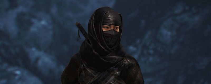 《刺客信条：影》游戏画面，奈绪江与弥助并肩站立，背景为日本战国时期城池