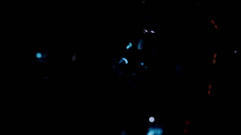 菲尔·斯宾塞接受媒体采访的现场照片，神情认真地谈论游戏发展战略