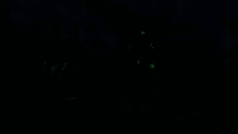 两名玩家角色并肩站在岛屿边缘，眺望远方云海