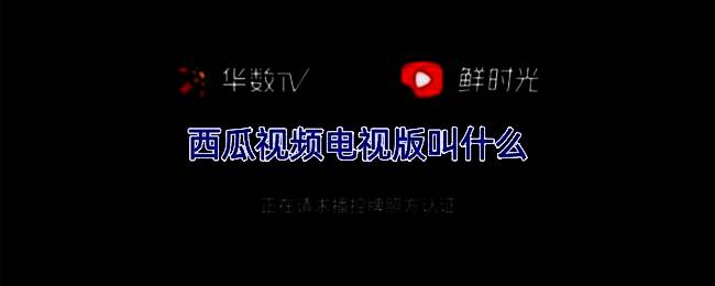 鲜时光TV界面展示，主屏幕呈现清晰分类与推荐内容