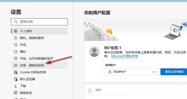 Edge设置页面中‘共享、复制和粘贴’选项详情界面