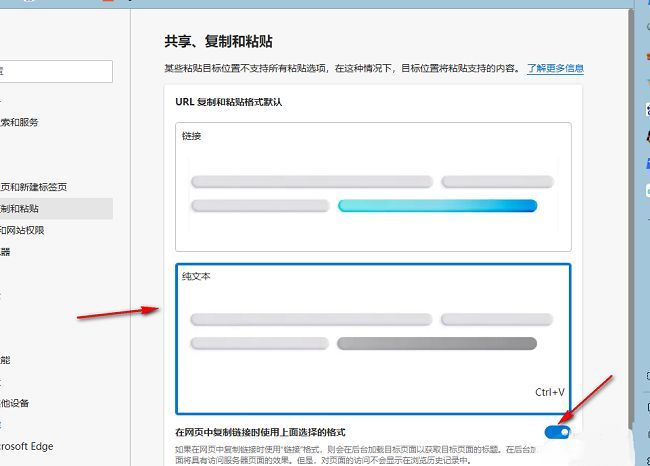 Edge浏览器中复制粘贴格式设置为纯文本，并开启自动应用开关