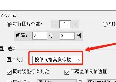 图片大小设置为按单元格高度缩放，确保图片与表格协调统一