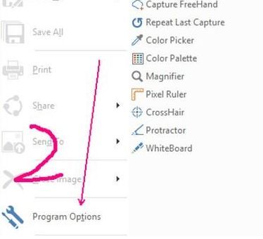PicPick设置页面左侧栏中的Program Options程序选项按钮高亮显示