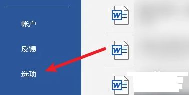 Word选项按钮位于页面左侧列表底部，点击可进入详细设置界面
