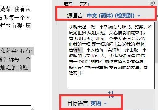 翻译面板显示原文与目标语言选项，可选择翻译成中文或英文的设置界面