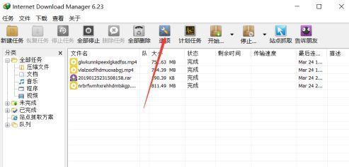 IDM主界面，顶部工具栏高亮显示‘选项’按钮，鼠标指针正指向该位置