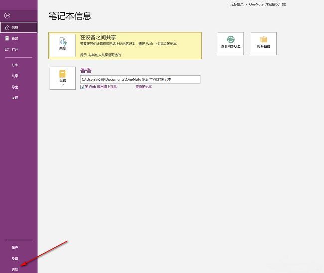 OneNote选项菜单页面，左侧列出各项设置类别，其中‘选项’被选中
