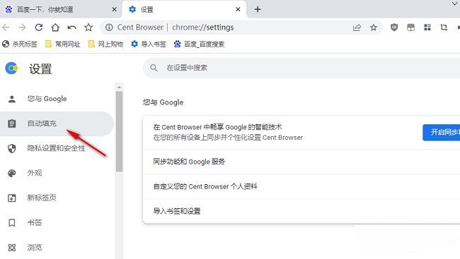 设置页面左侧栏突出显示‘自动填充’功能入口