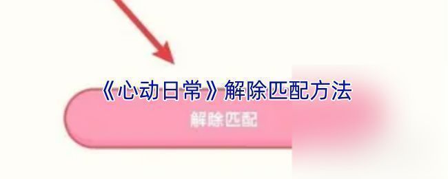 心动日常APP聊天界面示意图，展示解除匹配功能可能的位置