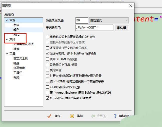 EditPlus首选项窗口左侧文件选项被选中，右侧显示文件设置内容
