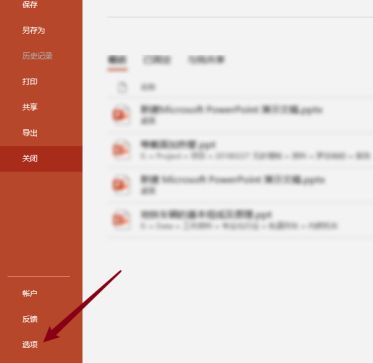 PowerPoint选项按钮在左侧菜单中被选中，右侧显示其功能说明