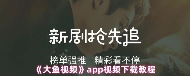 大鱼视频APP界面展示，主页呈现多种热门短剧封面，分类清晰，界面简洁美观