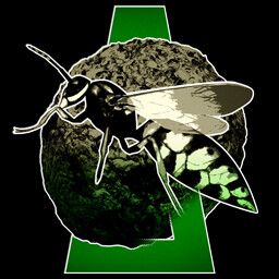 游戏内‘养蜂专家’成就图标，显示一个蜂巢与飞舞的蜜蜂图案