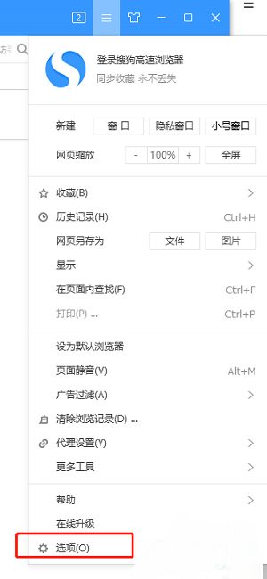 下拉菜单中“选项”条目被高亮显示，位于菜单中部位置