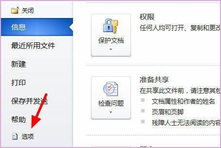 Word文件菜单与选项入口界面截图，展示进入程序设置的路径