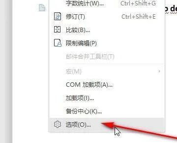 WPS选项按钮位置示意，位于工具菜单底部